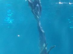 -福州罗源湾海洋世界旅游区