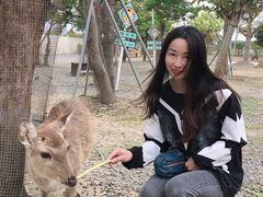 -鹿境梅花鹿生态园区