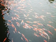 -长春市南湖公园