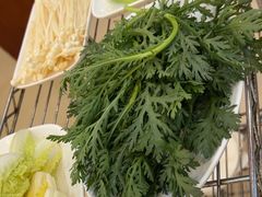 -蜀皇·菌汤鲜黄牛肉汤锅(宽窄巷子店)