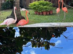 -三亚蜈支洲岛旅游区