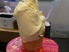 -野人先生现做冰淇淋(北京环宇荟店)
