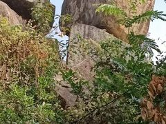 -罗三妹山