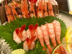 牡丹虾刺身-松子料理(亮马桥店)