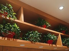 -南城香(四路通店)