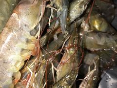 基围虾-福田农产品批发市场有限公司蔬菜交易区