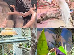 -正佳雨林生态植物园