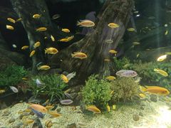 -福州罗源湾海洋世界旅游区