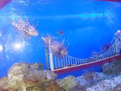 -太平洋海底世界