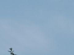 -贵阳市花溪国家城市湿地公园