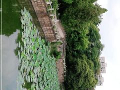 -水绘园
