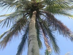 -霞山观海长廊