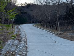 -北京西山国家森林公园