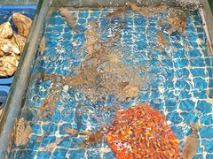 -争先鲜·蒸汽海鲜自助·鲜切牛肉