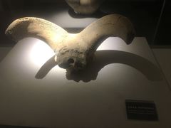 -宁夏博物馆