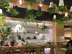 大堂-柴务处·柴犬主题狗咖