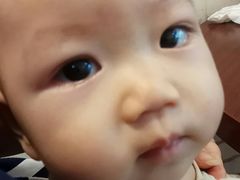 -丰圆轩粤式茶楼 . 点心粤菜(夏茅店)