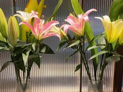 -鑫小城故事·藕汤·家常菜(台北一路总店)