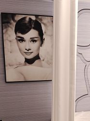 -斐尔国际皮肤管理中心