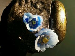 android_upload_pic-上海琉璃艺术博物馆