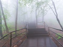 -沂蒙山旅游区云蒙景区(蒙山国家森林公园)