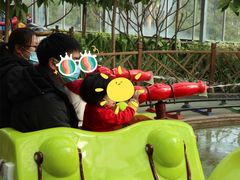 游乐设施-南宫五洲植物乐园