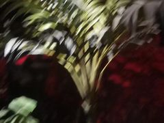 -世外桃源水疗会(皇庭彩园店)