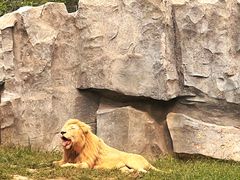 -北京野生动物园