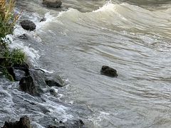 -东钱湖旅游度假区