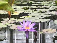 -国家植物园南园