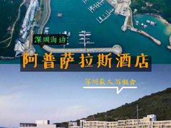 -深圳阿普萨拉斯酒店