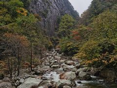 -青峰峡国家森林公园