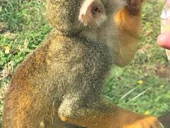 -辛玛王国游乐园