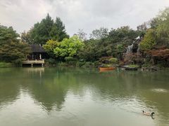 景观位-杭州西子湖四季酒店-WL BISTRO西湖餐厅(灵隐路店)