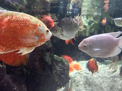 -太平洋海底世界