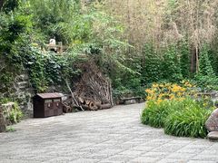 -沕沕水生态风景区