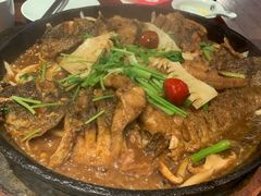 -老板恋上鱼(高新万达店)