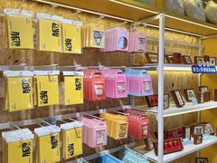 -南昌之星游乐场