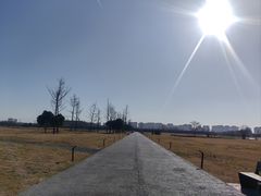 -汉长安城未央宫国家考古遗址公园