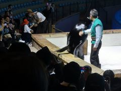 -波塞冬旅游度假区