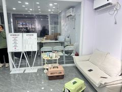 -爱洗澡的猫(望京店)