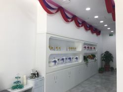 -莱可美科技美肤