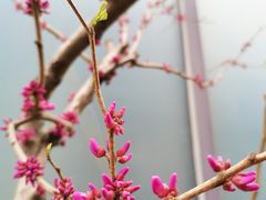 -钓鱼台国宾馆