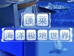 -蓬莱欧乐堡海洋极地世界