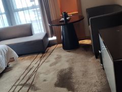 -成都明宇丽雅饭店