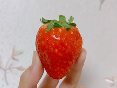 -小资小味(东门店)