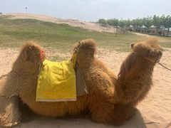 -古柏渡飞黄旅游区