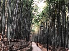 -宝石山