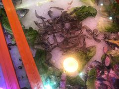 -烤圣自助美食音乐餐厅