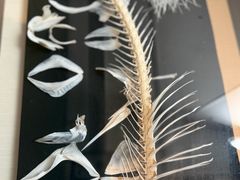 -淮香国色·淮扬菜(正大中心店)
